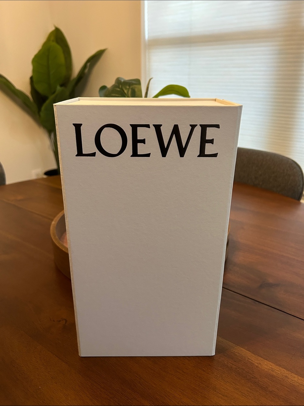 Loewe Shoe Box